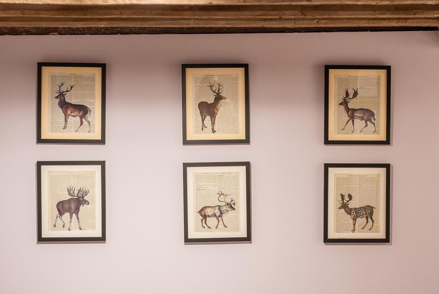 The White Horse, Rogate Hotel Petersfield Eksteriør billede